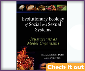 Evolutionary Ecology of Social and Sexual Systems Crustaceans.