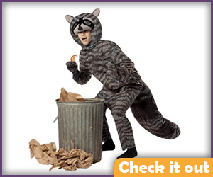 Raccoon Costume.