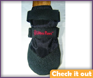 Black Dog Boots.