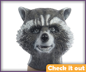 Raccoon Detailed Mask. 