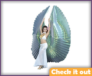 Costume Large Wings.