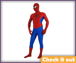 Spider-man Classic Outfit.