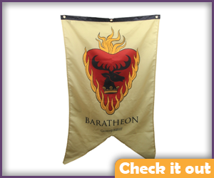 House Baratheon Banner.