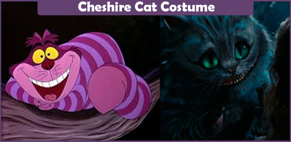 Cheshire Cat Costume - A DIY Guide