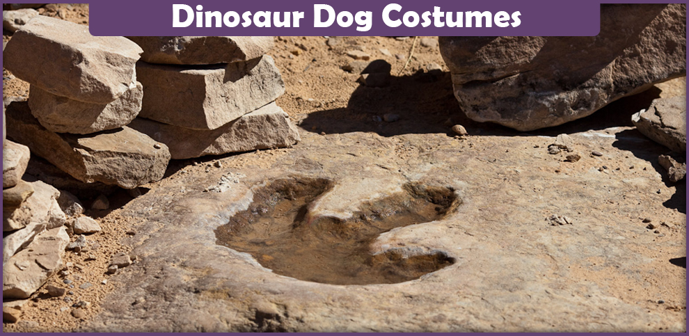Dinosaur Dog Costumes